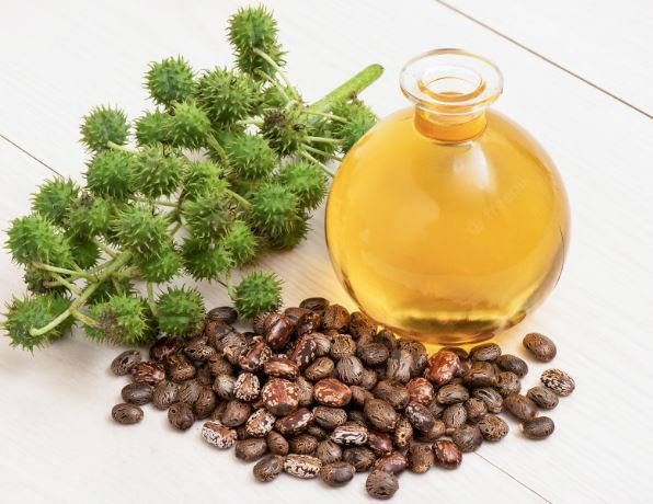 Castor oil is a rich in fatty acids, it helps dry and aging skin. In addition, it is widely used in hair care, lip gloss, and balm products.
