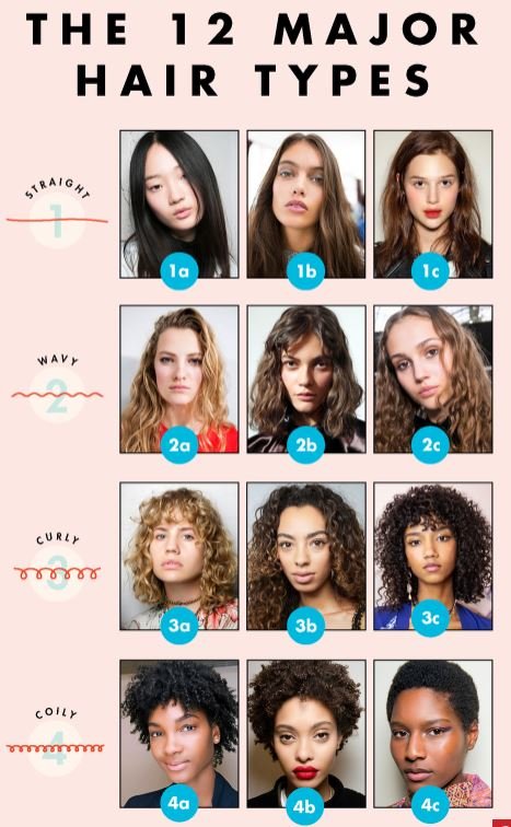 The 12 Major Hair Type Comparison