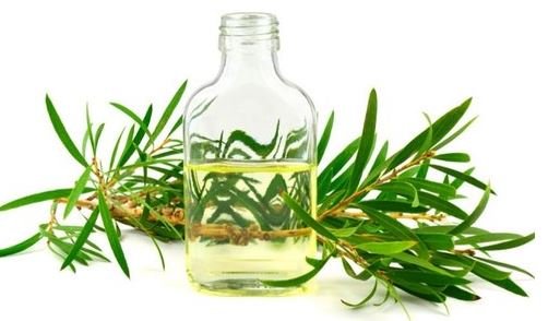 Rosemary Scalp Oil - In this post, the product to make is scalp oil for maintaining a healthy scalp. If you have itchy hair or dandruff, you need to take care of your scalp. It uses jojoba, calendula, and grapeseed oils, which are effective in moisturizing and antibacterial, and essential oils that help hair care to create a refreshing and healthy scalp. Then, let's make a scalp care oil for a healthy scalp.
