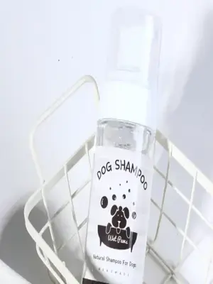 Pet foaming shampoo - This time, I'm going to make shampoo for my lovely puppy. My dog hates water, so bath time is like a war. So, in case the puppy gets stressed out, he quickly finishes the bath while foaming and drying. The shampoo I'm going to make this time foams right out of the bubble container, so you can take a quick bath. Rinse thoroughly as a small amount of polyquaternium-10 is added for soft hair. I'm going to make Pet Foaming Shampoo, which has a soft and fluffy texture.
